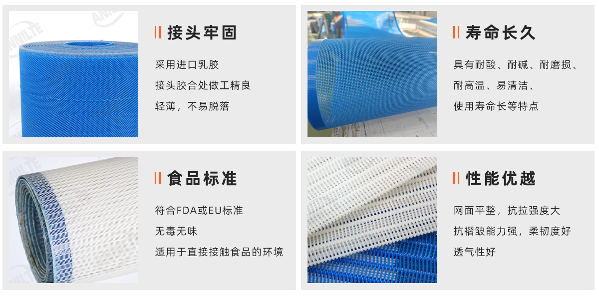 聚酯网带