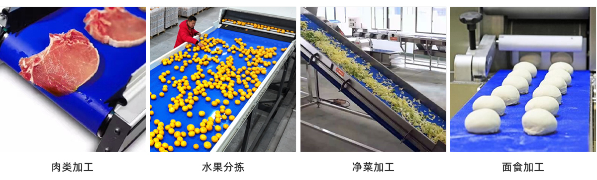 火腿培根切片输送带