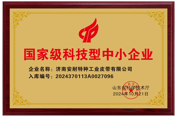 国家级科技型中小企业-1