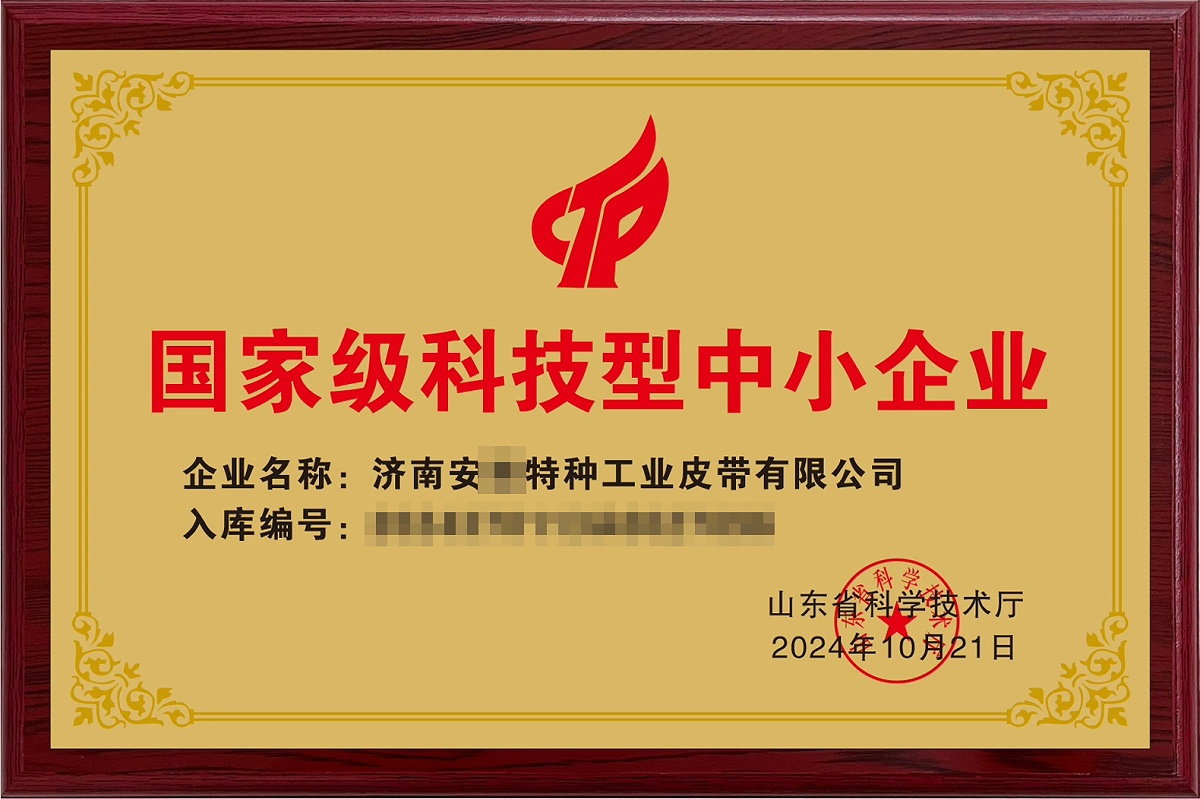 国家级科技型中小企业