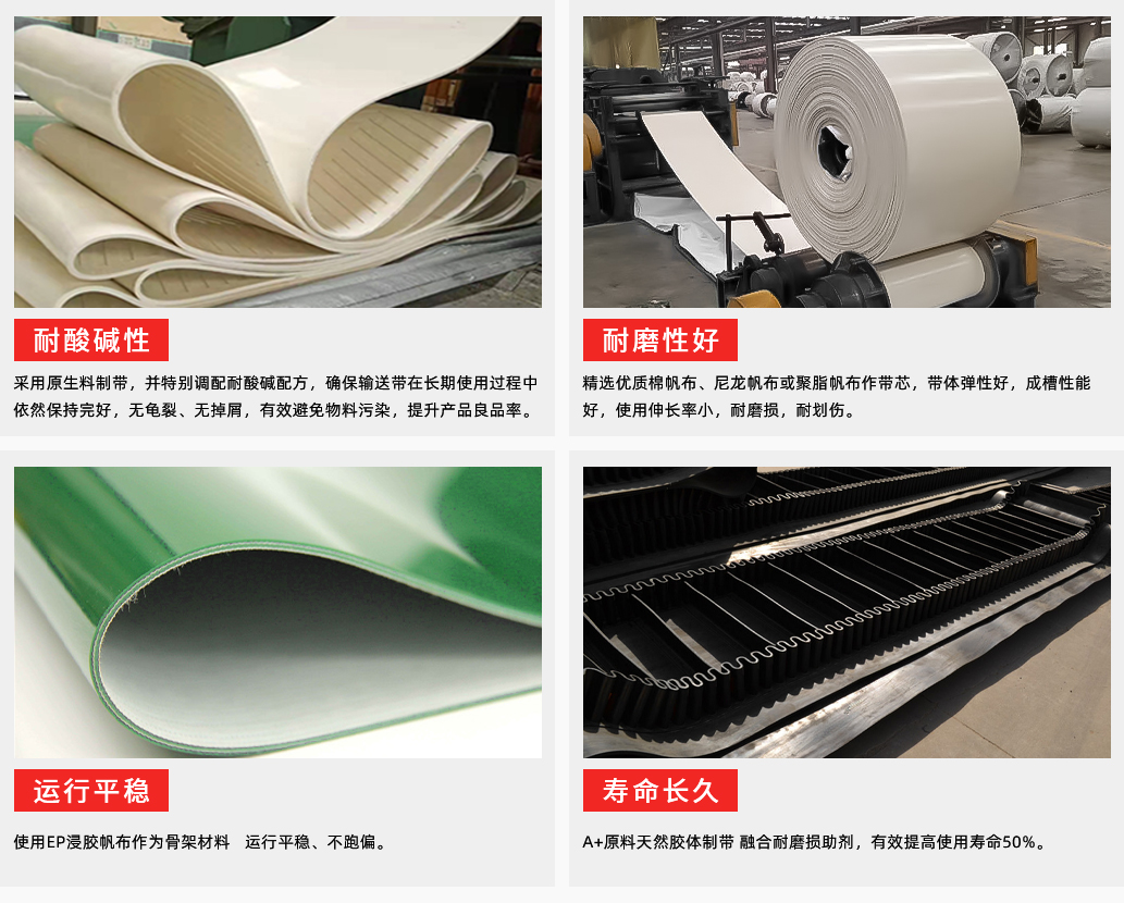 耐酸碱输送带