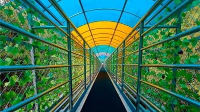 景区魔毯输送带焕新季：为何超50%的头部景区选择济南安耐？