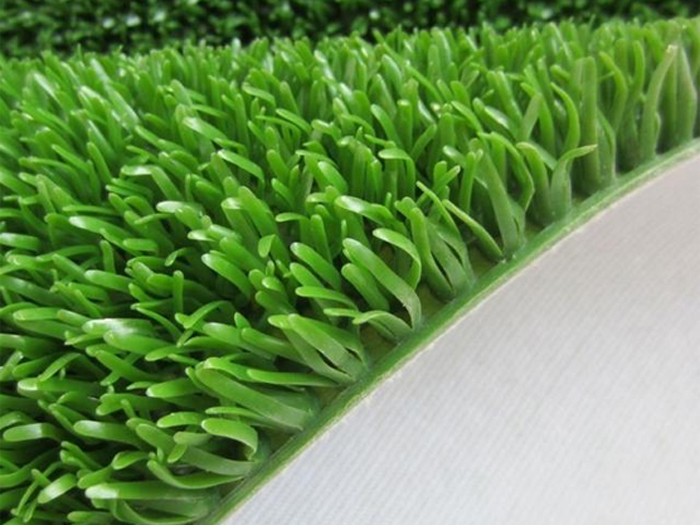 粘金草输送带 粘金草输送带