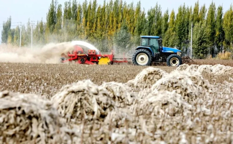 残膜回收机皮带0317-1