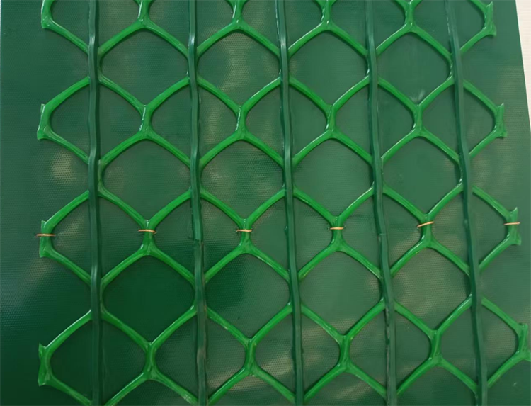 喷砂机输送带0625-3