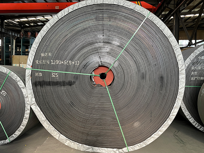 原煤干选机输送带