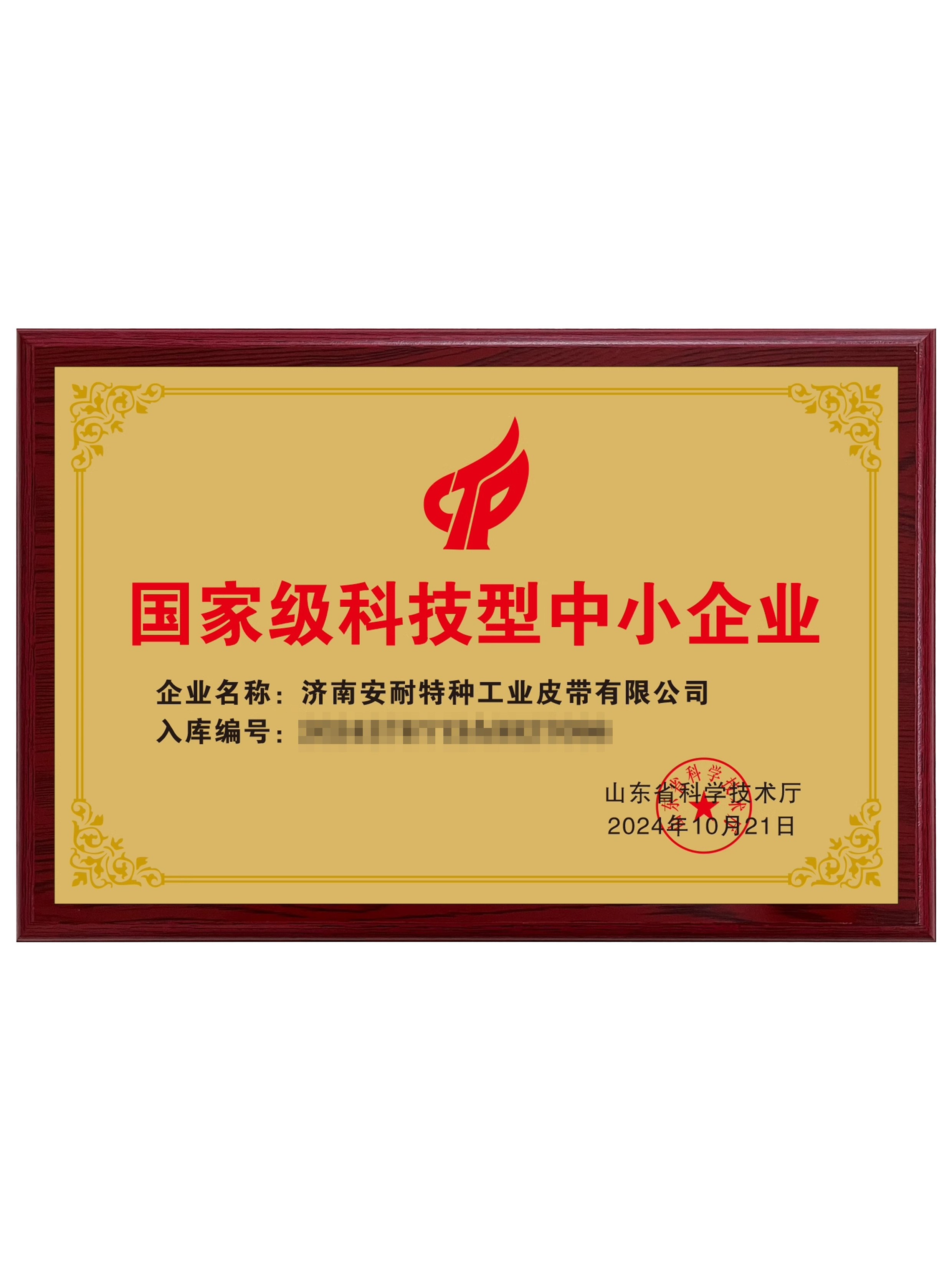 国家科技型中小企业