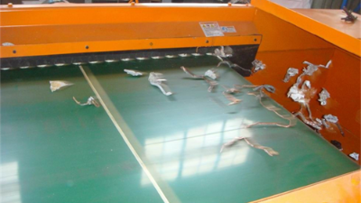 不是进口买不起，而是济南安耐涡电流分选机皮带更具性价比！