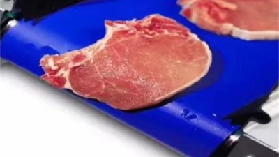 肉食加工厂新选择！REOclean易洁带帮您解决肉食输送难题