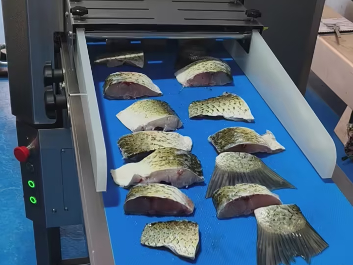 切鱼机皮带 切鱼机皮带