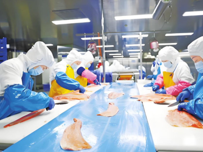 切鱼机皮带 切鱼机皮带