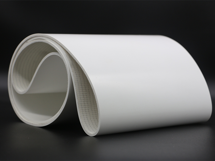 高分子材料处理输送带 高分子材料处理输送带