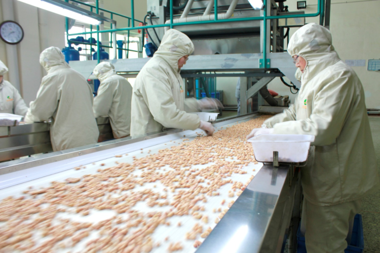 食品输送带0924-5