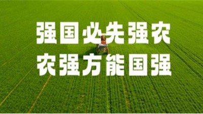 响应国家农业强国规划，济南安耐传送带护航农机现代化发展