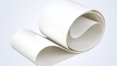 都2025年了！是谁还在用塑化剂超标的生脂肪输送带？