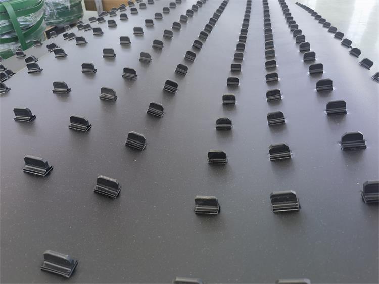 整瓶分选机皮带0228-2