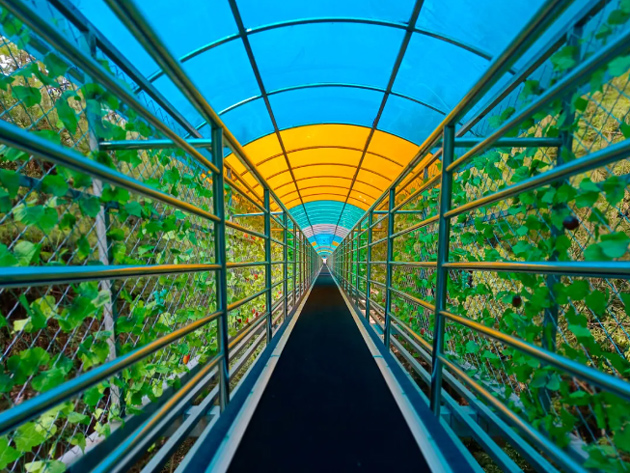 济南安耐魔毯输送带助力游客沉浸式游玩