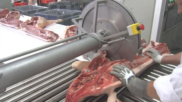 “数智”赋能产业升级，济南安耐传送带厂家助力制造业数字化转型