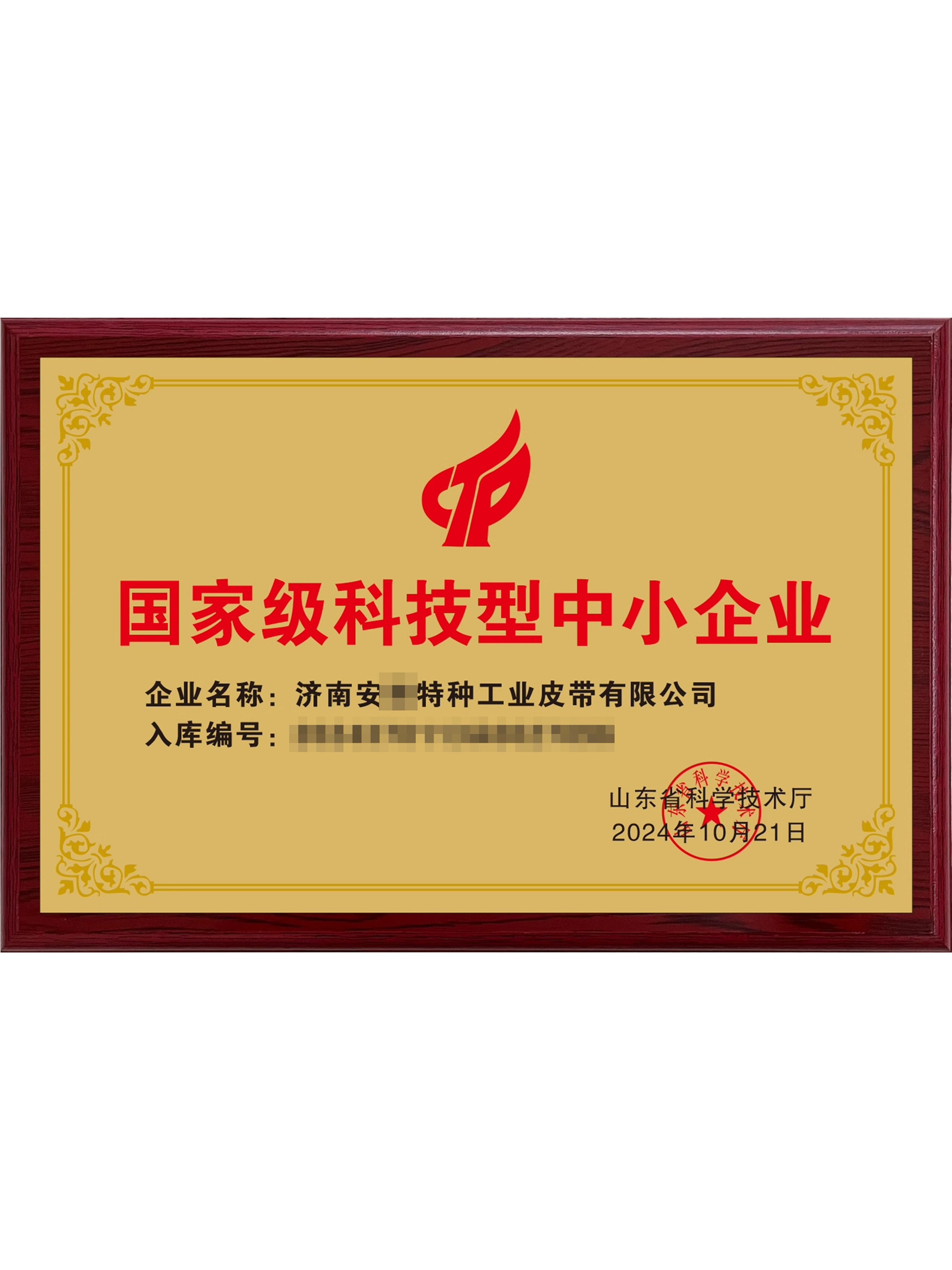 国家级科技型中小企业