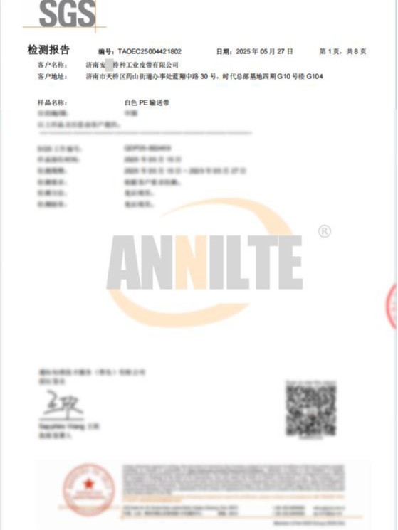 白色PE输送带检测报告