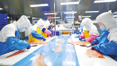 国产平替！济南安耐研发切鱼机皮带，性能媲美进口，价格省一半！